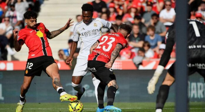 Maffeo provoca a Vinicius